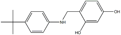 4-{[(4-tert-butylphenyl)amino]methyl}benzene-1,3-diol Struktur