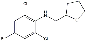 4-bromo-2,6-dichloro-N-(oxolan-2-ylmethyl)aniline Struktur