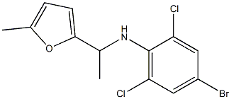 4-bromo-2,6-dichloro-N-[1-(5-methylfuran-2-yl)ethyl]aniline Structure