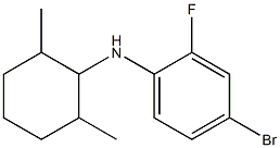 4-bromo-N-(2,6-dimethylcyclohexyl)-2-fluoroaniline|