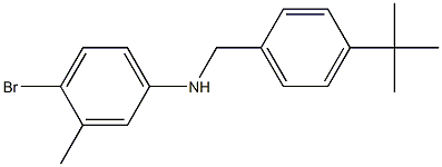 4-bromo-N-[(4-tert-butylphenyl)methyl]-3-methylaniline 结构式