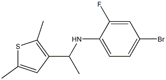 4-bromo-N-[1-(2,5-dimethylthiophen-3-yl)ethyl]-2-fluoroaniline Structure