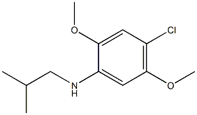 4-chloro-2,5-dimethoxy-N-(2-methylpropyl)aniline,,结构式