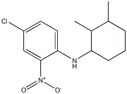 4-chloro-N-(2,3-dimethylcyclohexyl)-2-nitroaniline