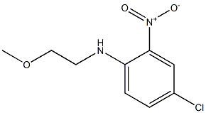 4-chloro-N-(2-methoxyethyl)-2-nitroaniline