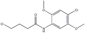 4-chloro-N-(4-chloro-2,5-dimethoxyphenyl)butanamide Struktur