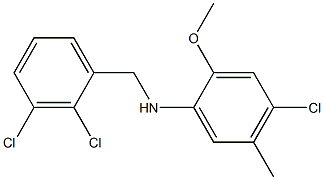  4-chloro-N-[(2,3-dichlorophenyl)methyl]-2-methoxy-5-methylaniline