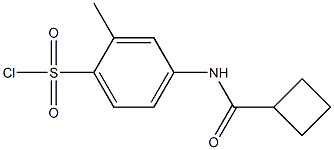 4-cyclobutaneamido-2-methylbenzene-1-sulfonyl chloride