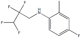4-fluoro-2-methyl-N-(2,2,3,3-tetrafluoropropyl)aniline,,结构式