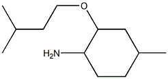 4-methyl-2-(3-methylbutoxy)cyclohexan-1-amine,,结构式