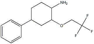 4-phenyl-2-(2,2,2-trifluoroethoxy)cyclohexanamine Struktur
