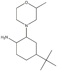 4-tert-butyl-2-(2-methylmorpholin-4-yl)cyclohexanamine Struktur