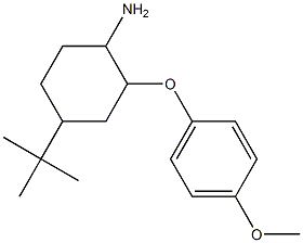 4-tert-butyl-2-(4-methoxyphenoxy)cyclohexan-1-amine,,结构式