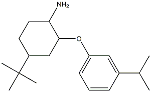 4-tert-butyl-2-[3-(propan-2-yl)phenoxy]cyclohexan-1-amine