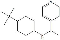 4-tert-butyl-N-[1-(pyridin-4-yl)ethyl]cyclohexan-1-amine Structure