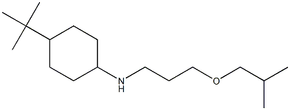 4-tert-butyl-N-[3-(2-methylpropoxy)propyl]cyclohexan-1-amine,,结构式