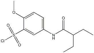 5-(2-ethylbutanamido)-2-methoxybenzene-1-sulfonyl chloride 化学構造式