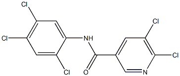 5,6-dichloro-N-(2,4,5-trichlorophenyl)pyridine-3-carboxamide Structure