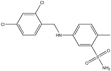 5-{[(2,4-dichlorophenyl)methyl]amino}-2-methylbenzene-1-sulfonamide Structure