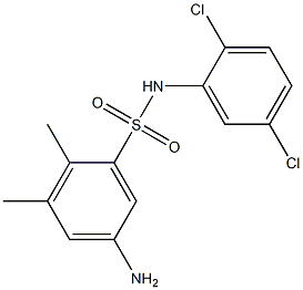 5-amino-N-(2,5-dichlorophenyl)-2,3-dimethylbenzene-1-sulfonamide