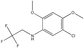 5-chloro-2,4-dimethoxy-N-(2,2,2-trifluoroethyl)aniline,,结构式