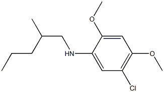 5-chloro-2,4-dimethoxy-N-(2-methylpentyl)aniline Struktur