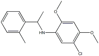 5-chloro-2,4-dimethoxy-N-[1-(2-methylphenyl)ethyl]aniline,,结构式