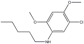 5-chloro-2,4-dimethoxy-N-pentylaniline,,结构式