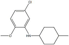 5-chloro-2-methoxy-N-(4-methylcyclohexyl)aniline Structure