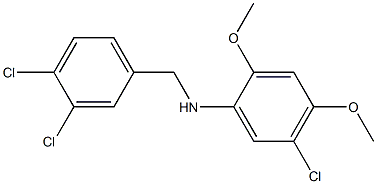 5-chloro-N-[(3,4-dichlorophenyl)methyl]-2,4-dimethoxyaniline
