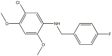 5-chloro-N-[(4-fluorophenyl)methyl]-2,4-dimethoxyaniline
