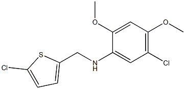 5-chloro-N-[(5-chlorothiophen-2-yl)methyl]-2,4-dimethoxyaniline Structure