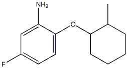 5-fluoro-2-[(2-methylcyclohexyl)oxy]aniline