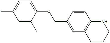 6-(2,4-dimethylphenoxymethyl)-1,2,3,4-tetrahydroquinoline