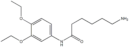 6-amino-N-(3,4-diethoxyphenyl)hexanamide Structure