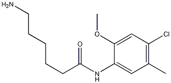 6-amino-N-(4-chloro-2-methoxy-5-methylphenyl)hexanamide Struktur