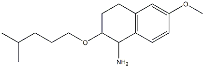 6-methoxy-2-[(4-methylpentyl)oxy]-1,2,3,4-tetrahydronaphthalen-1-amine Struktur