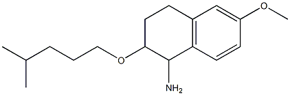 6-methoxy-2-[(4-methylpentyl)oxy]-1,2,3,4-tetrahydronaphthalen-1-amine Structure