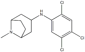 8-methyl-N-(2,4,5-trichlorophenyl)-8-azabicyclo[3.2.1]octan-3-amine Struktur