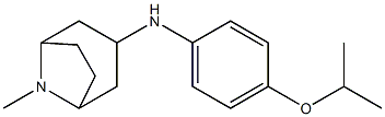 8-methyl-N-[4-(propan-2-yloxy)phenyl]-8-azabicyclo[3.2.1]octan-3-amine 结构式