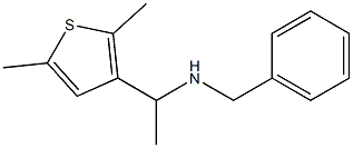benzyl[1-(2,5-dimethylthiophen-3-yl)ethyl]amine Structure