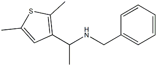 benzyl[1-(2,5-dimethylthiophen-3-yl)ethyl]amine|