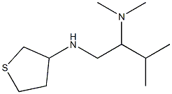 dimethyl[3-methyl-1-(thiolan-3-ylamino)butan-2-yl]amine