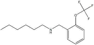 hexyl({[2-(trifluoromethoxy)phenyl]methyl})amine|