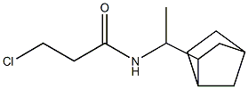 N-(1-{bicyclo[2.2.1]heptan-2-yl}ethyl)-3-chloropropanamide 化学構造式