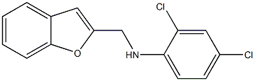 N-(1-benzofuran-2-ylmethyl)-2,4-dichloroaniline,,结构式