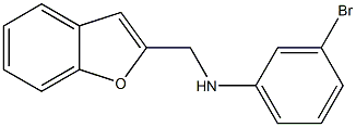 N-(1-benzofuran-2-ylmethyl)-3-bromoaniline 结构式