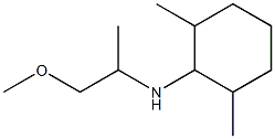  N-(1-methoxypropan-2-yl)-2,6-dimethylcyclohexan-1-amine