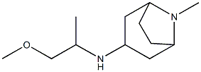 N-(1-methoxypropan-2-yl)-8-methyl-8-azabicyclo[3.2.1]octan-3-amine 化学構造式