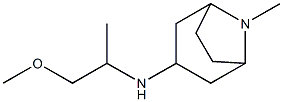 N-(1-methoxypropan-2-yl)-8-methyl-8-azabicyclo[3.2.1]octan-3-amine